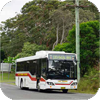 Port Stephens Coaches Custom Coaches